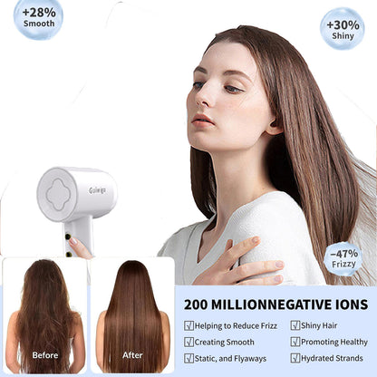 Guiwigo High Speed Professional Ionic Hair Dryers with Diffuser,Nozzle, 2 in 1,1500W brushless Motor,Fast Drying,Low Noise,200 Million Negative Ions,Hair Dryers for Women,Men,Kids,Pets,Gift(White))